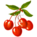 Cherry