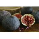 Figs